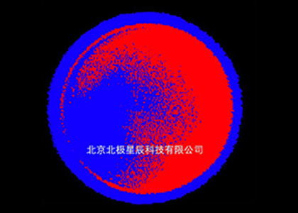 金刚石复合片PCD和PDC超声波C扫描成像检测